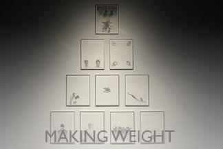 Making Weight, DCCA, 2014
