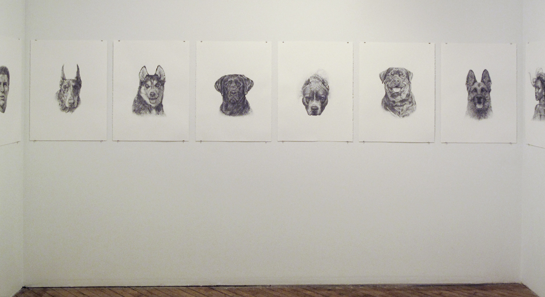 Canines
